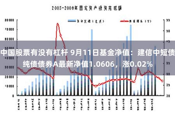 中国股票有没有杠杆 9月11日基金净值：建信中短债纯债债券A最新净值1.0606，涨0.02%