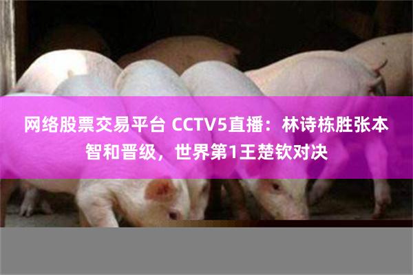 网络股票交易平台 CCTV5直播：林诗栋胜张本智和晋级，世界第1王楚钦对决