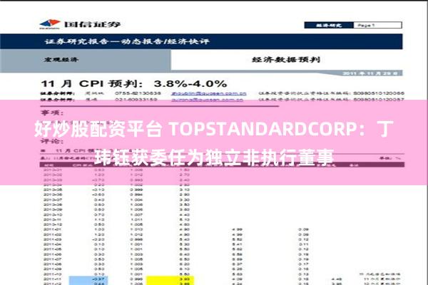 好炒股配资平台 TOPSTANDARDCORP：丁玮钰获委任为独立非执行董事