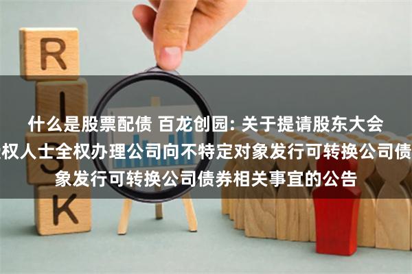 什么是股票配债 百龙创园: 关于提请股东大会授权董事会及其授权人士全权办理公司向不特定对象发行可转换公司债券相关事宜的公告