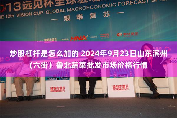 炒股杠杆是怎么加的 2024年9月23日山东滨州(六街）鲁北蔬菜批发市场价格行情