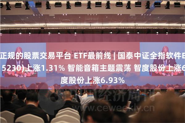 正规的股票交易平台 ETF最前线 | 国泰中证全指软件ETF(515230)上涨1.31% 智能音箱主题震荡 智度股份上涨6.93%