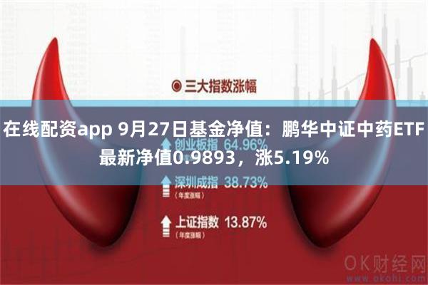 在线配资app 9月27日基金净值：鹏华中证中药ETF最新净值0.9893，涨5.19%