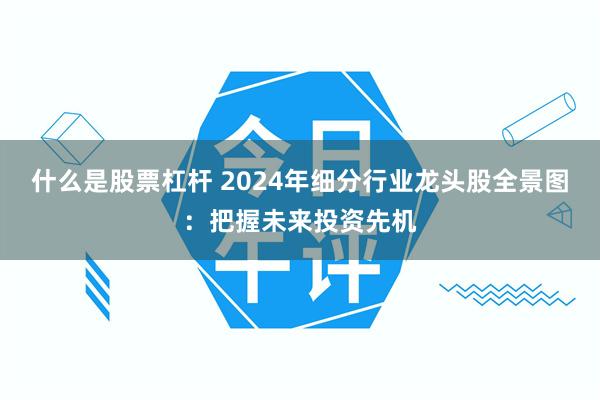 什么是股票杠杆 2024年细分行业龙头股全景图：把握未来投资先机