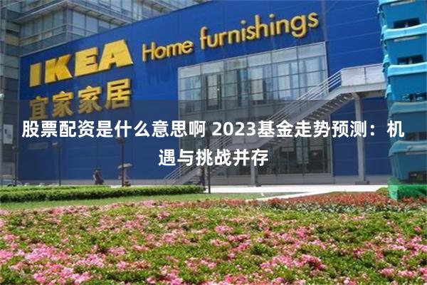 股票配资是什么意思啊 2023基金走势预测：机遇与挑战并存