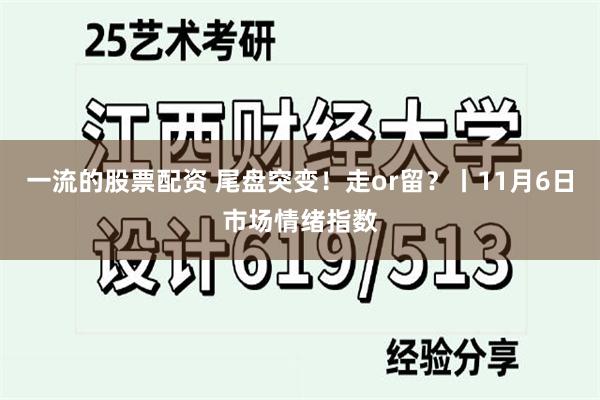 一流的股票配资 尾盘突变！走or留？丨11月6日市场情绪指数