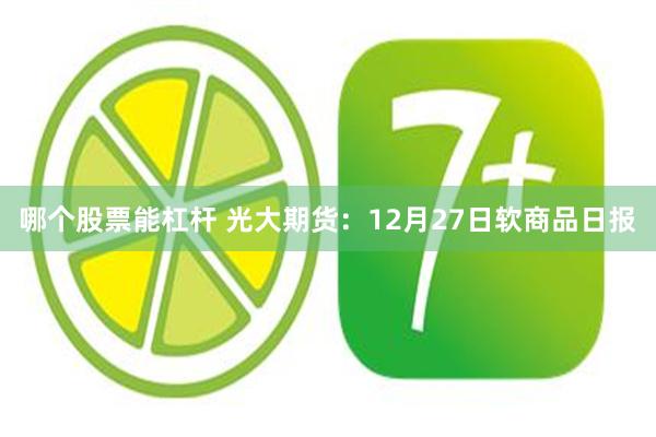 哪个股票能杠杆 光大期货：12月27日软商品日报