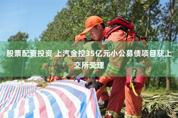 股票配资投资 上汽金控35亿元小公募债项目获上交所受理