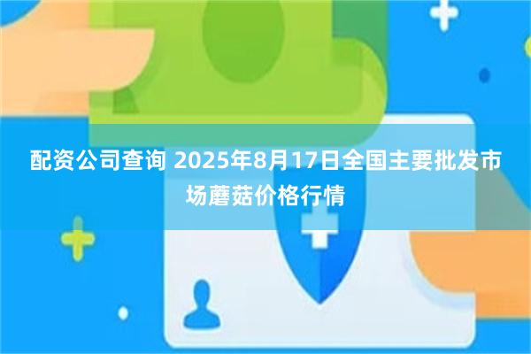 配资公司查询 2025年8月17日全国主要批发市场蘑菇价格行情
